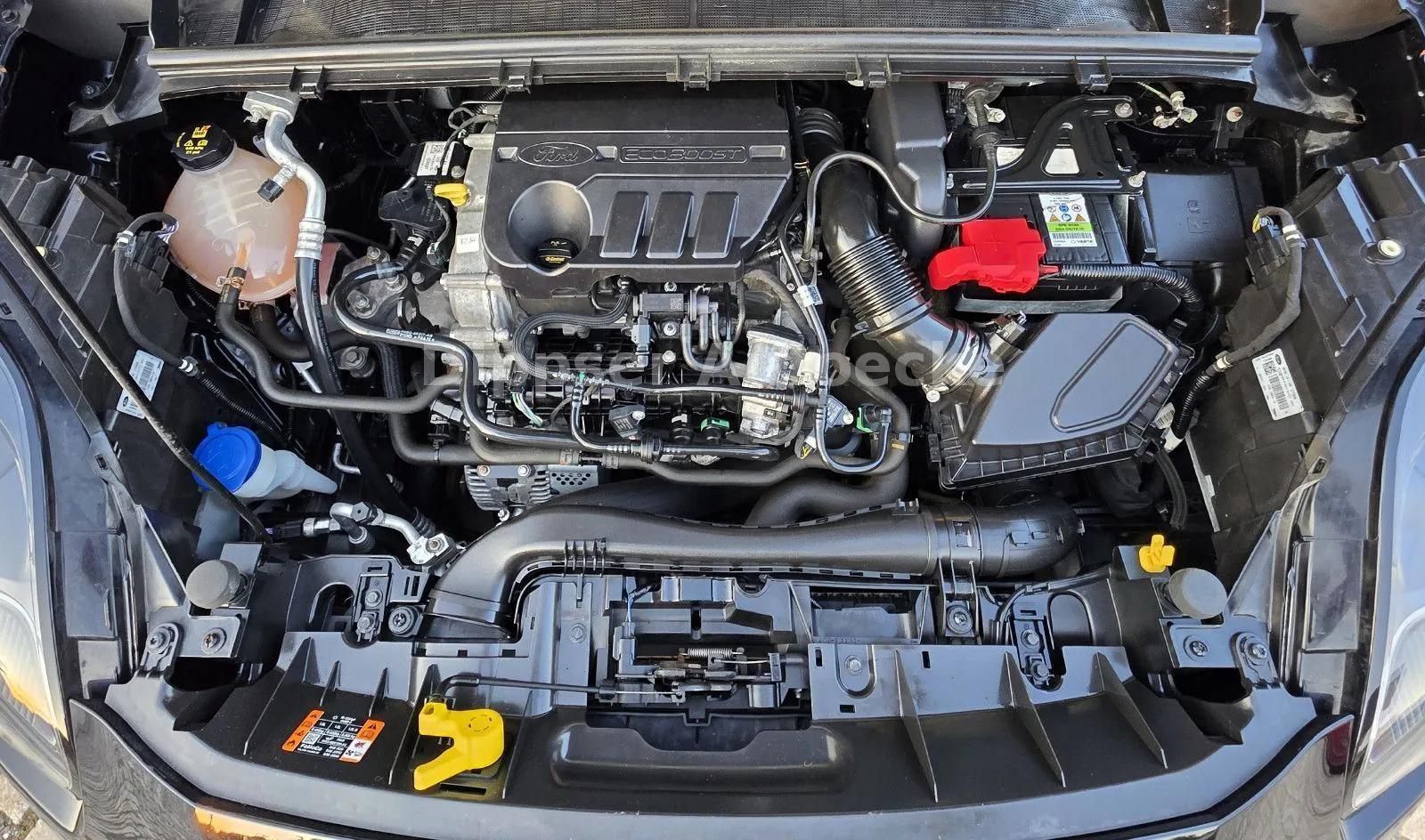 Fahrzeugabbildung Ford Puma