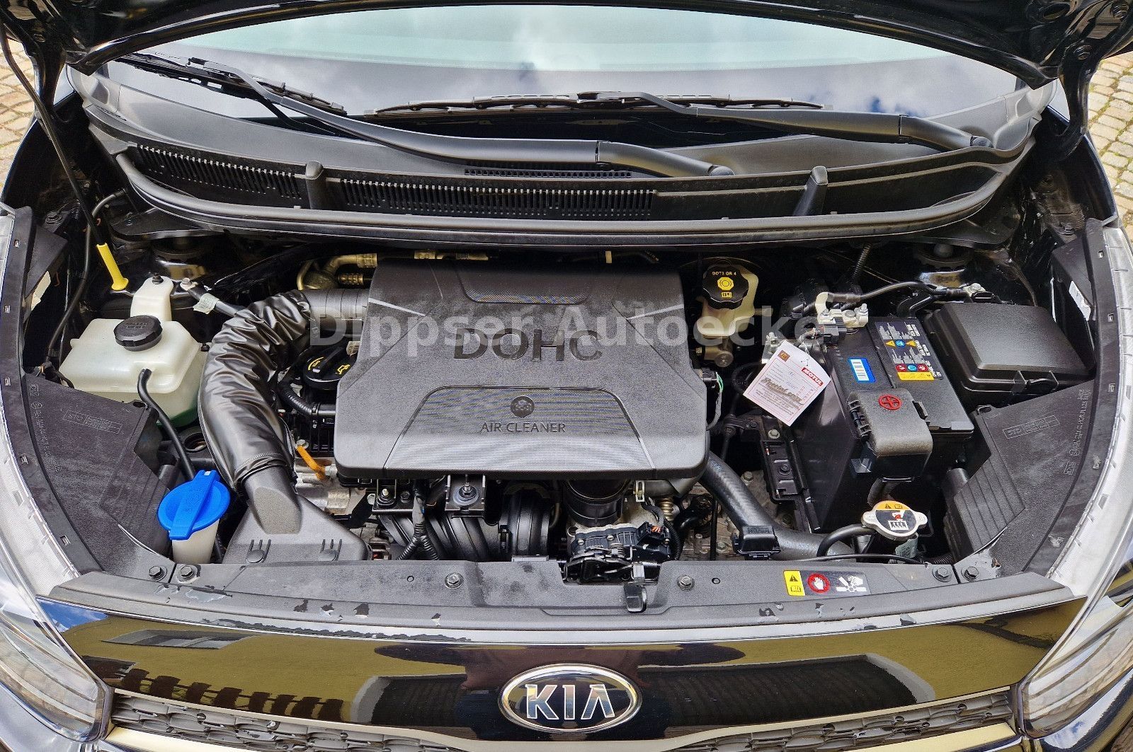Fahrzeugabbildung Kia Picanto 