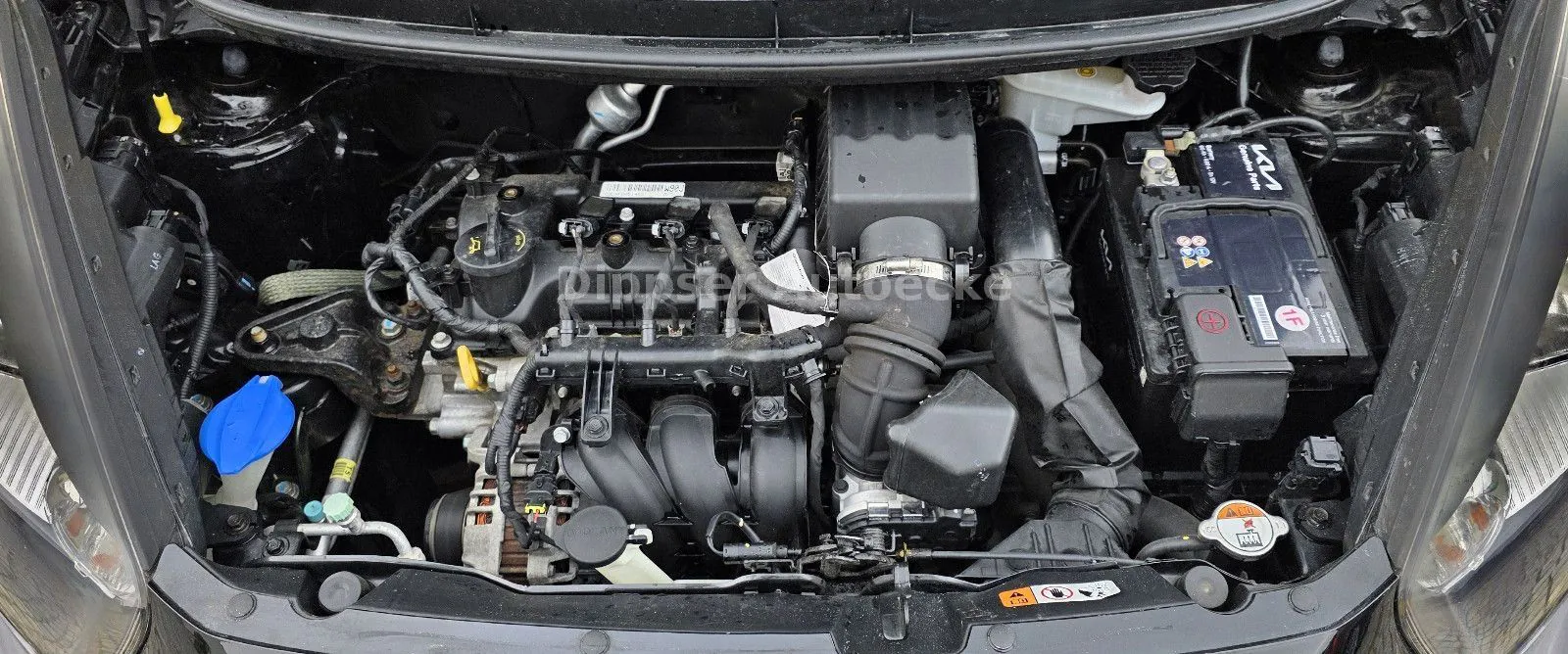 Fahrzeugabbildung Kia Picanto
