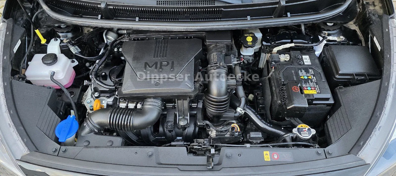 Fahrzeugabbildung Kia Picanto