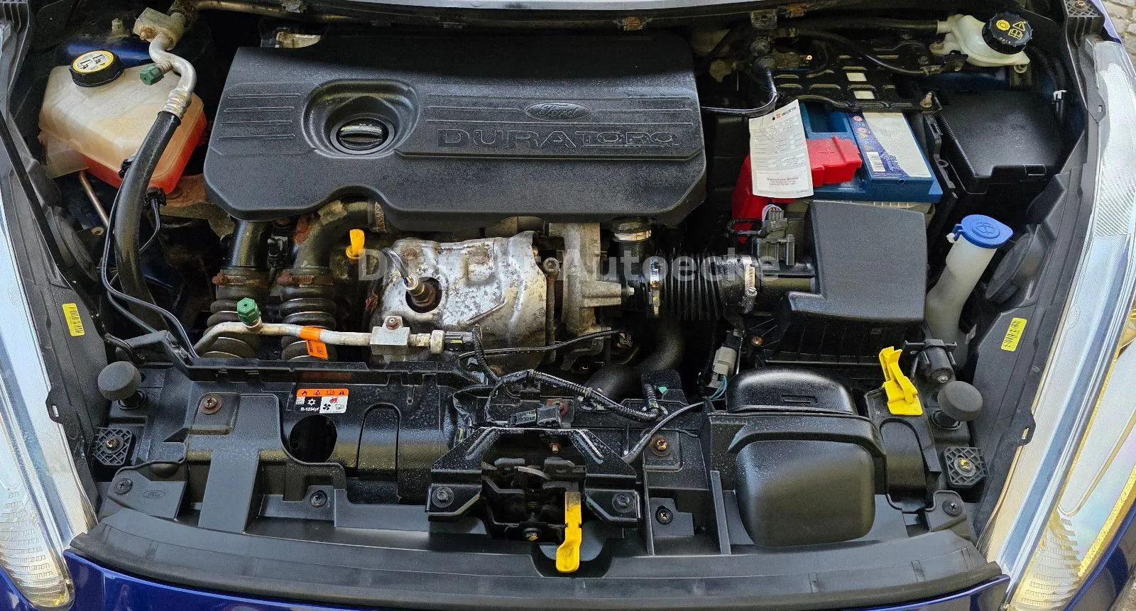 Fahrzeugabbildung Ford Fiesta 