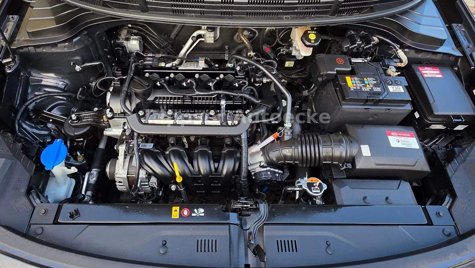 Fahrzeugabbildung Kia Rio